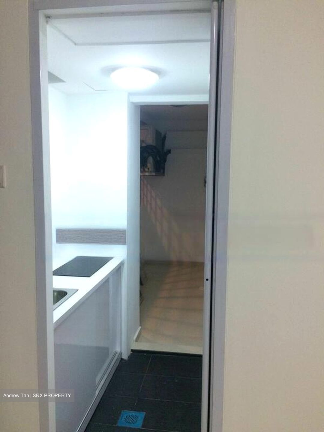 Escada View (D14), Condominium #530481221